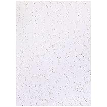 Amazon | ヒサゴ 天井シール・ジプトーン A4(210X297mm) 天井 穴隠し